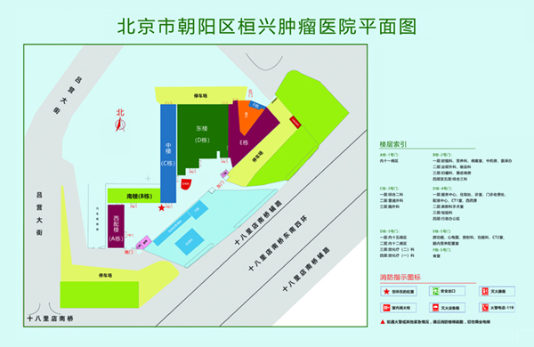 鸡巴透逼视频北京市朝阳区桓兴肿瘤医院平面图